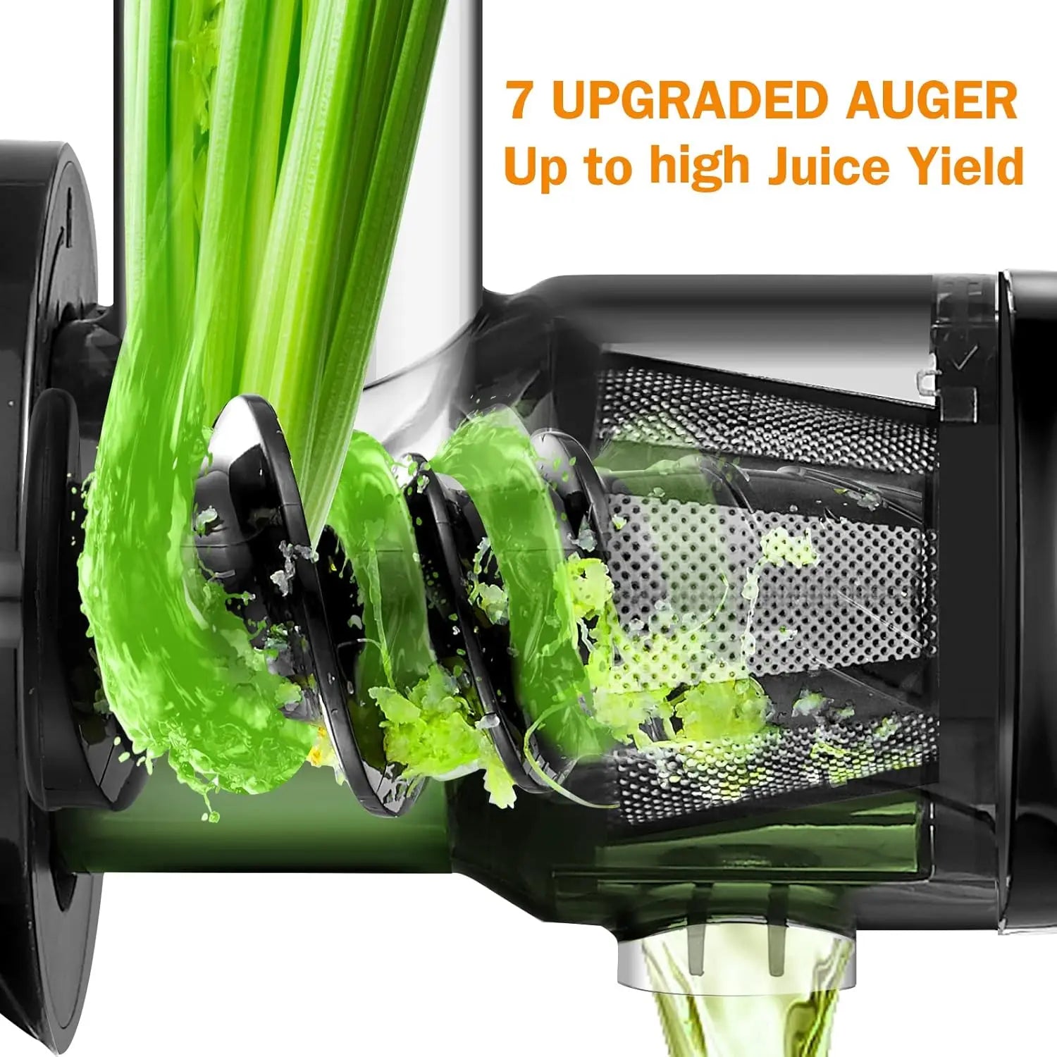 Cold Press Juicer Machine with Reverse Function